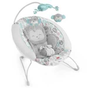 Delux baby bouncer